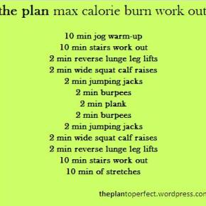 the plan max calorie burn work out