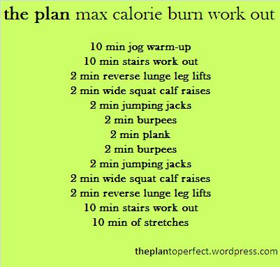 the plan max calorie burn work out